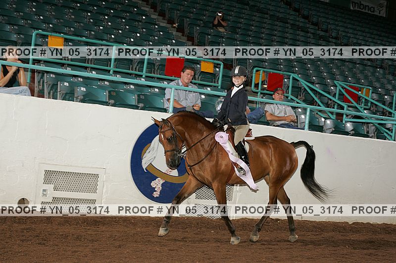 Proof Number yn_05_3174