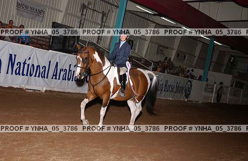 Proof Number ynha_05_3786