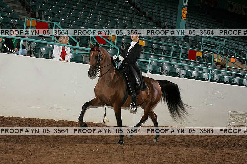 Proof Number yn_05_3564