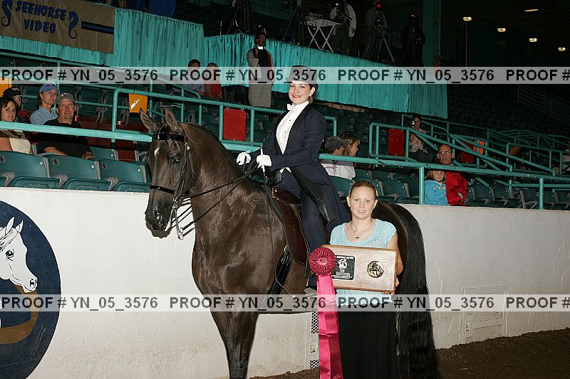 Proof Number yn_05_3576