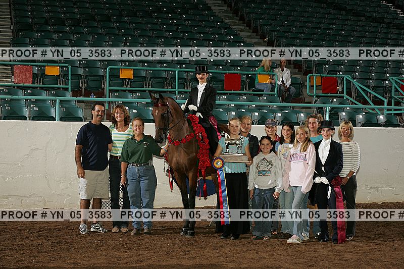 Proof Number yn_05_3583