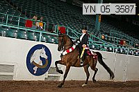 Proof Number yn_05_3587