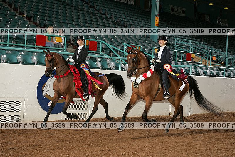 Proof Number yn_05_3589