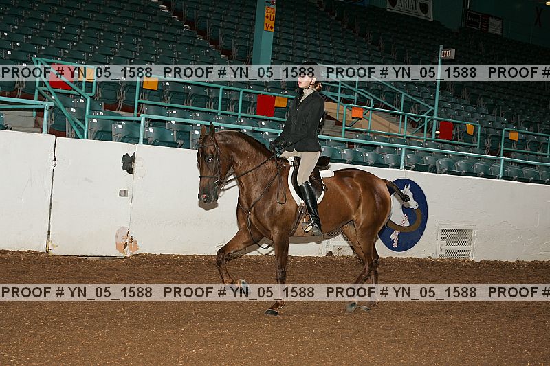 Proof Number yn_05_1588