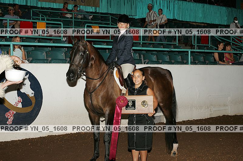 Proof Number yn_05_1608