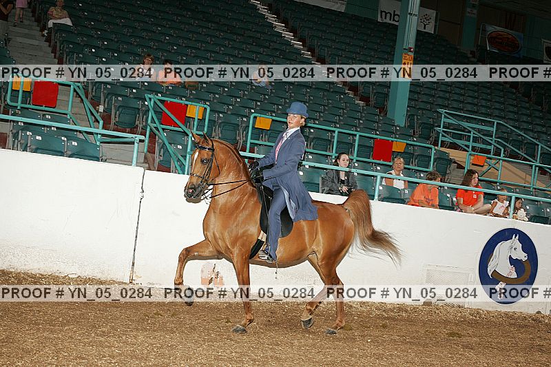 Proof Number yn_05_0284