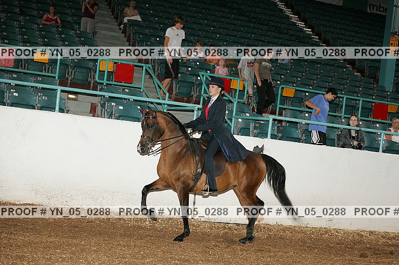 Proof Number yn_05_0288
