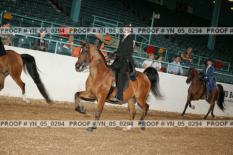 Proof Number yn_05_0294