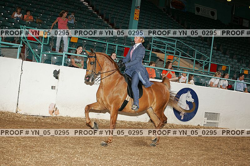 Proof Number yn_05_0295