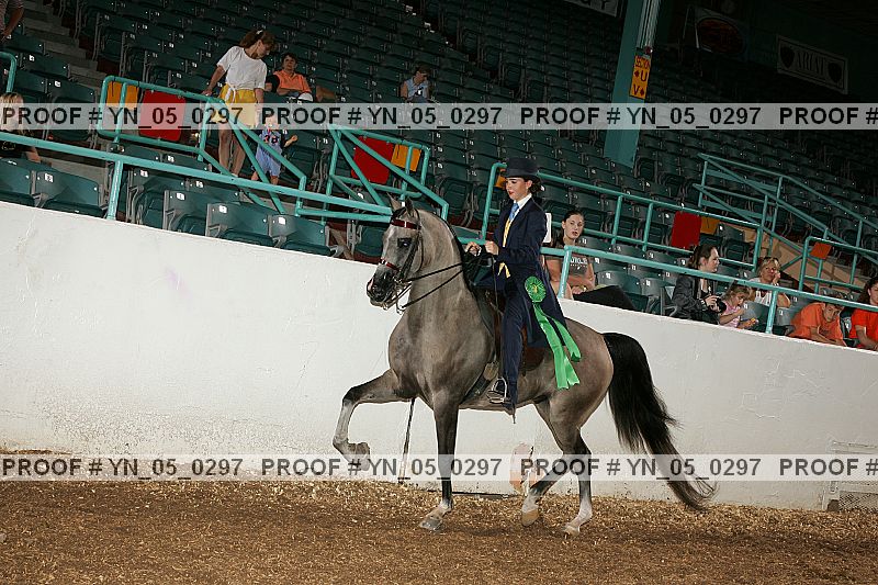 Proof Number yn_05_0297