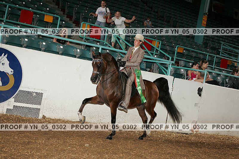 Proof Number yn_05_0302