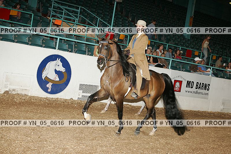 Proof Number yn_05_0616