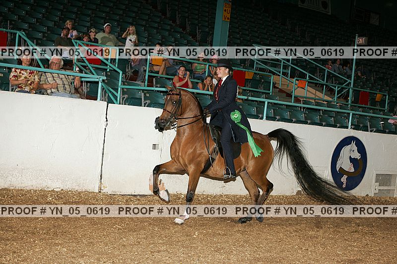 Proof Number yn_05_0619
