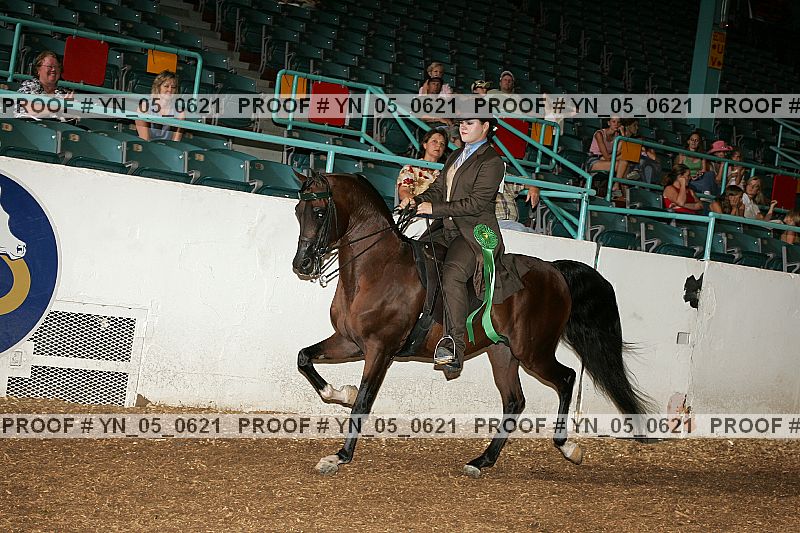 Proof Number yn_05_0621