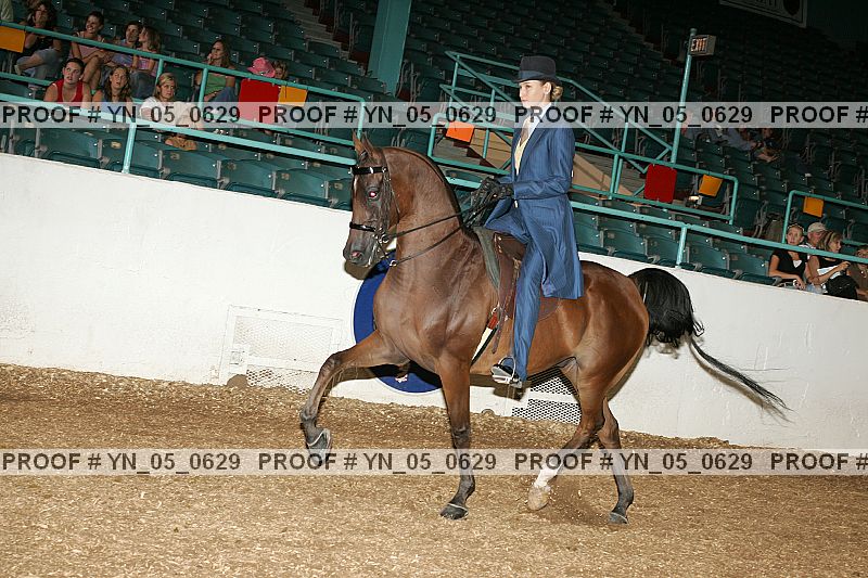 Proof Number yn_05_0629