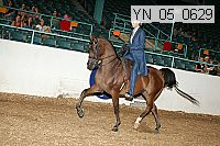 Proof Number yn_05_0630