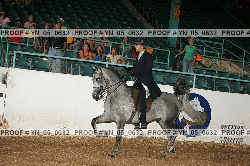Proof Number yn_05_0632