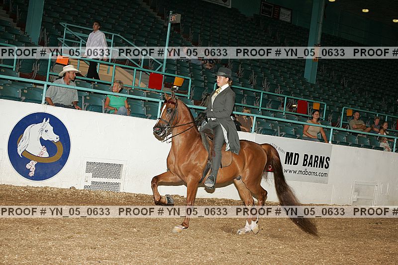 Proof Number yn_05_0633