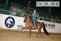 Proof Number yn_05_0636