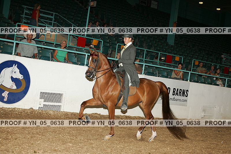 Proof Number yn_05_0638