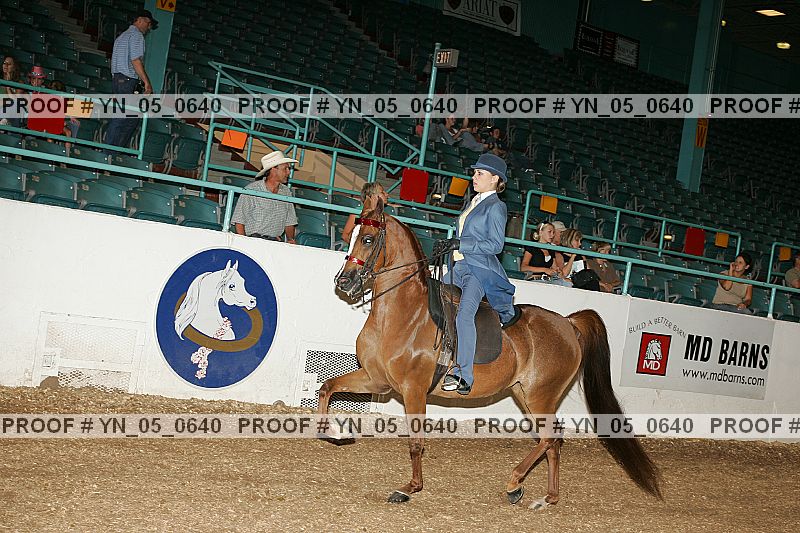 Proof Number yn_05_0640