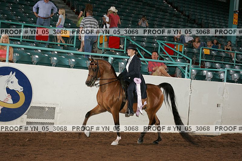 Proof Number yn_05_3068