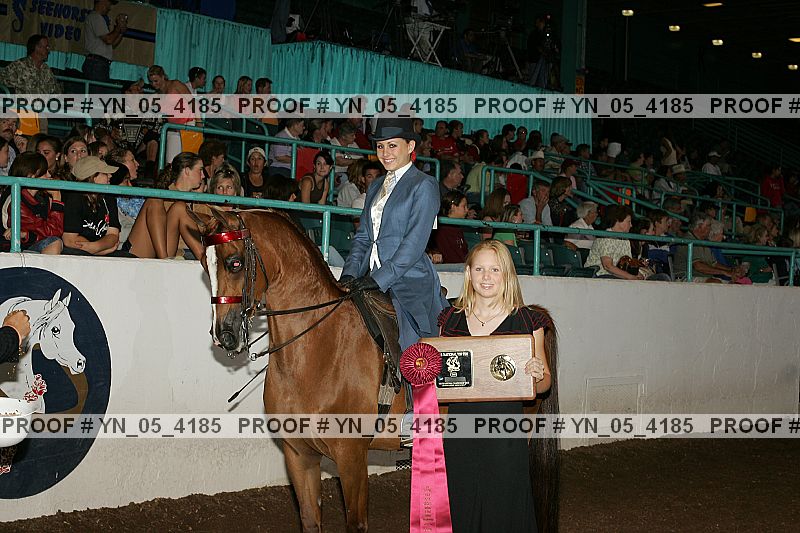 Proof Number yn_05_4185