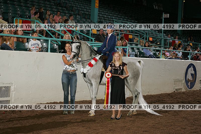 Proof Number yn_05_4192