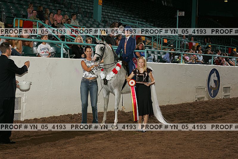 Proof Number yn_05_4193