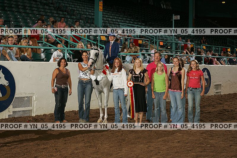 Proof Number yn_05_4195