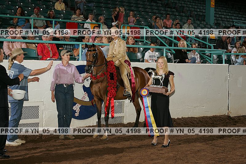 Proof Number yn_05_4198