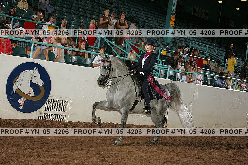 Proof Number yn_05_4206