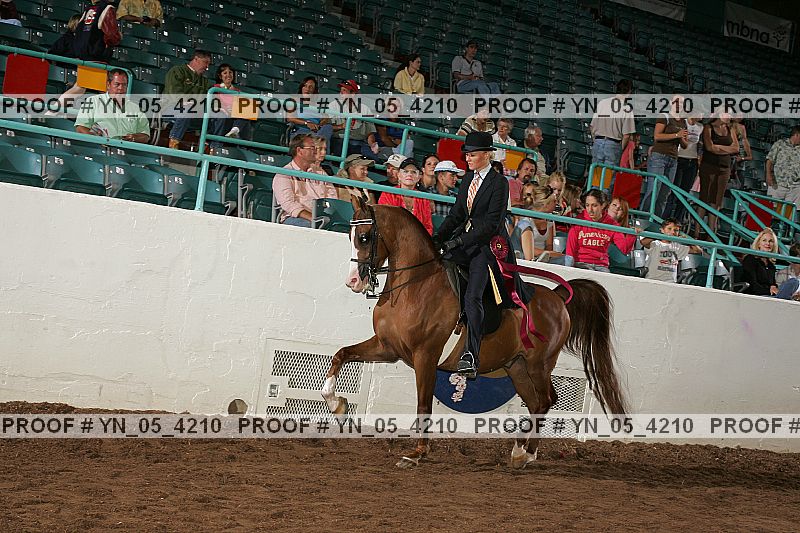 Proof Number yn_05_4210