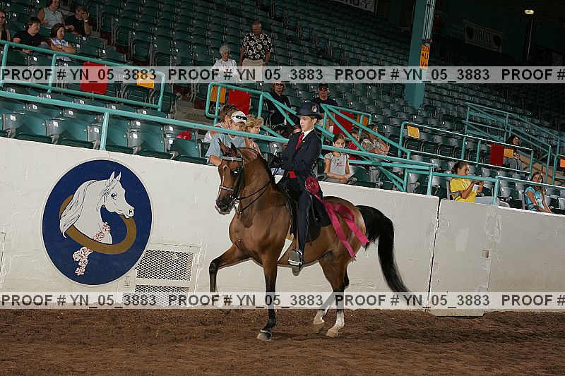 Proof Number yn_05_3883