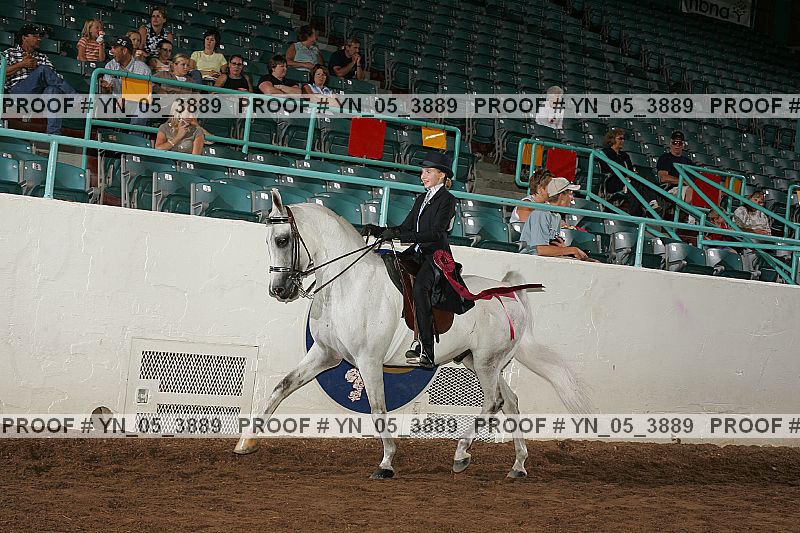 Proof Number yn_05_3889