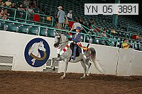 Proof Number yn_05_3891