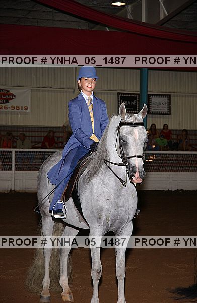 Proof Number ynha_05_1487