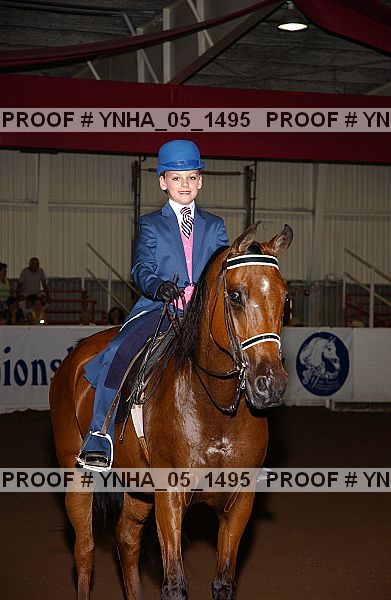 Proof Number ynha_05_1495