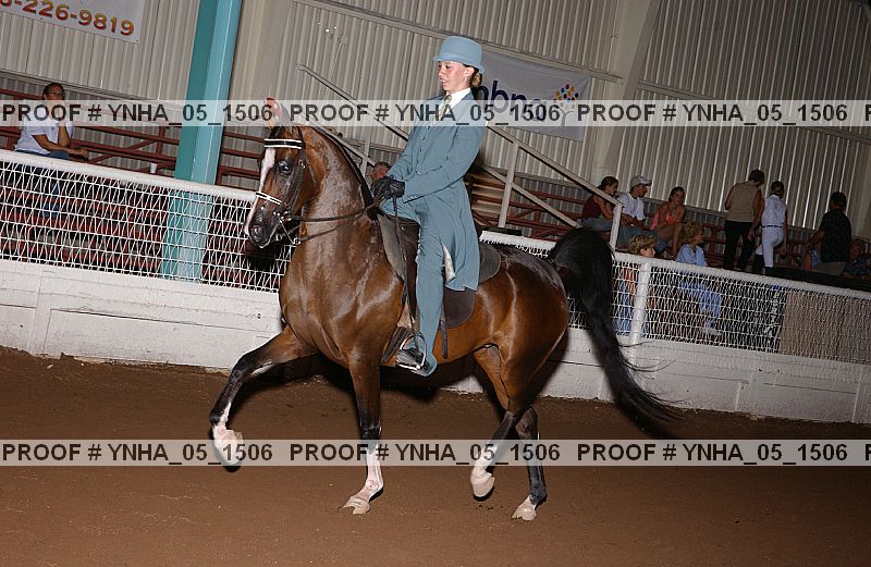 Proof Number ynha_05_1506