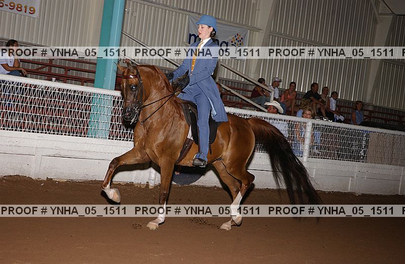 Proof Number ynha_05_1511