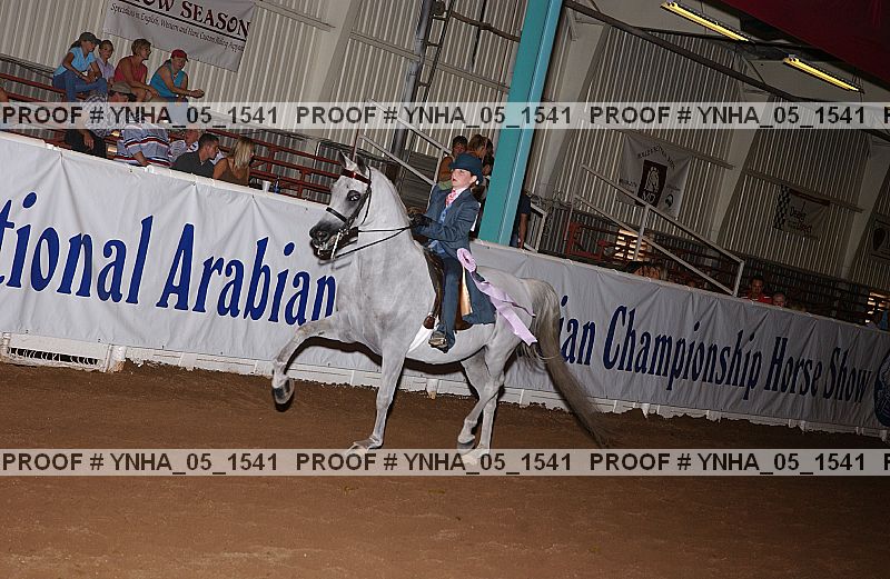 Proof Number ynha_05_1541
