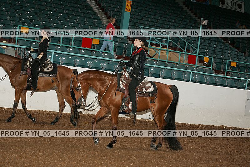 Proof Number yn_05_1645