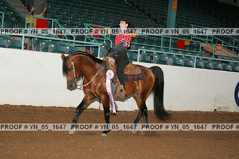 Proof Number yn_05_1647