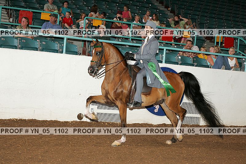 Proof Number yn_05_1102