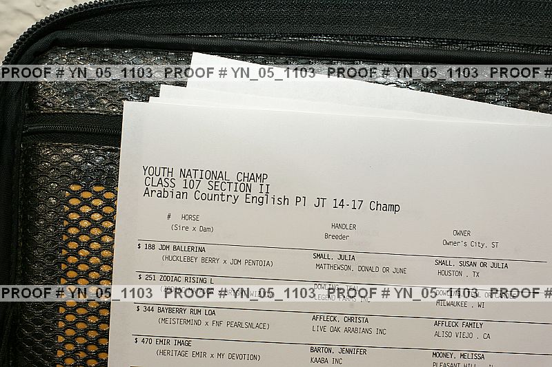 Proof Number yn_05_1103