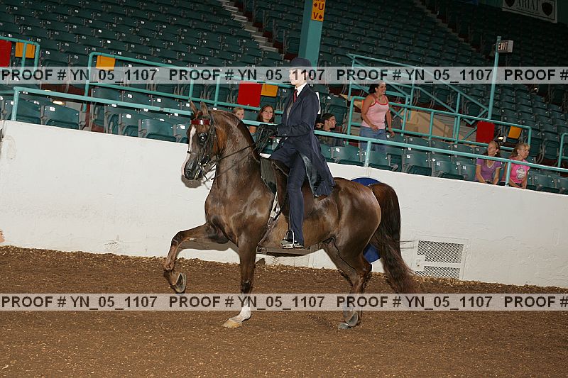 Proof Number yn_05_1107