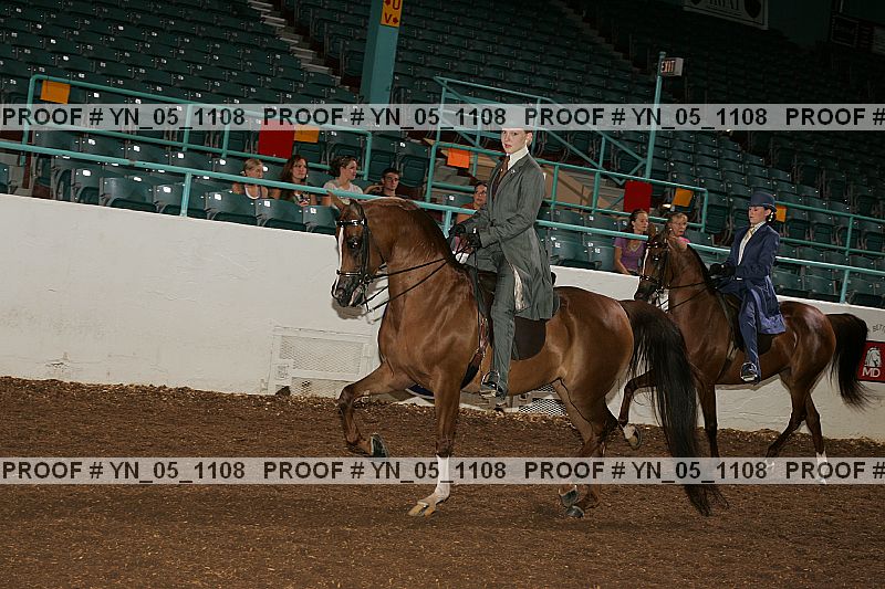 Proof Number yn_05_1108