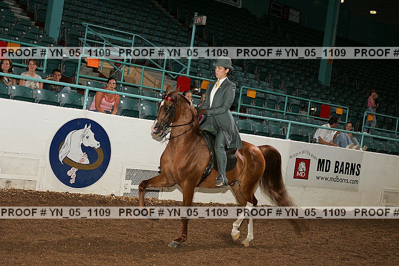 Proof Number yn_05_1109
