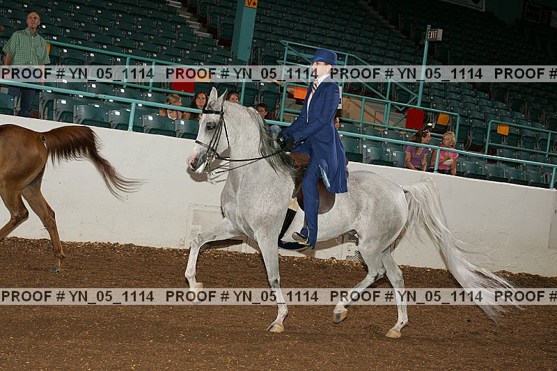 Proof Number yn_05_1114
