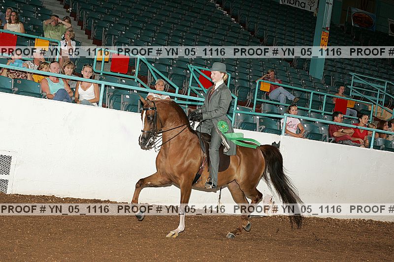 Proof Number yn_05_1116
